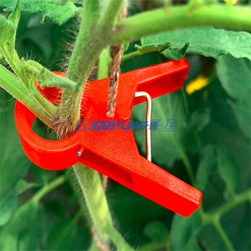 Clip de treillis de tomate de jardin potager de pastèque Clip de support de plante en plastique/agrafes de plante de tomate d'approvisionnement direct d'usine